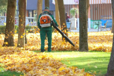 Parkta çalışma yaprakları ile bir blowe kaldırır