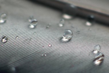 Kuş tüyü su damlacıklarıyla yaklaşır