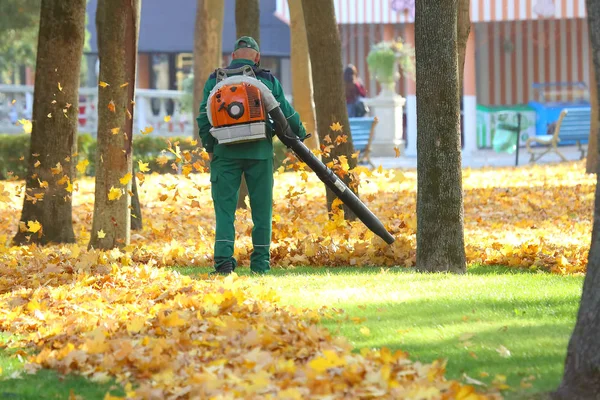 Parkta çalışma yaprakları ile bir blowe kaldırır