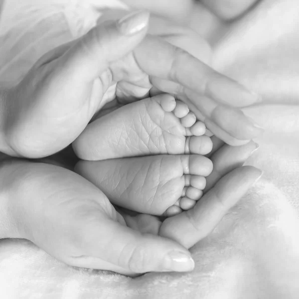 Mom Holds Her Hands Feet Newborn Baby — Stock Photo, Image