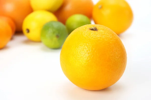 Arancione Sullo Sfondo Diversi Agrumi Sfondo Bianco — Foto Stock