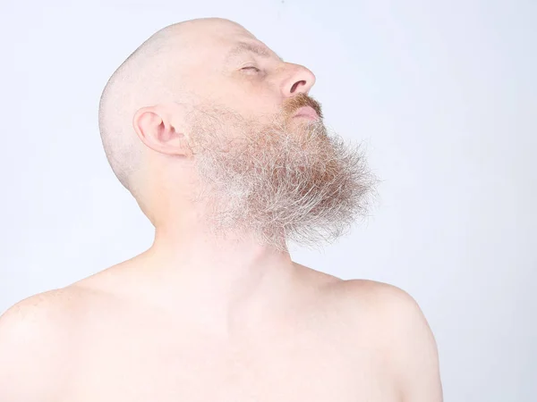 Студійний Портрет Лисого Бородатого Чоловіка Головою Тримається — стокове фото