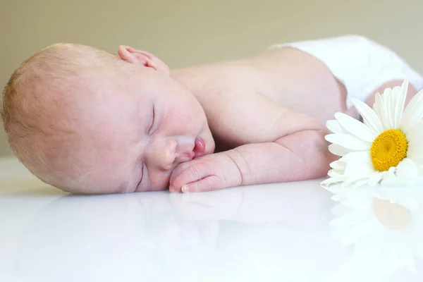 Uyuyan Yeni Doğmuş Bir Bebeğin Portresi — Stok fotoğraf