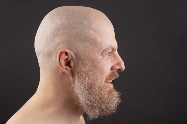 Retrato de um homem barbudo e careca no perfil — Fotografia de Stock