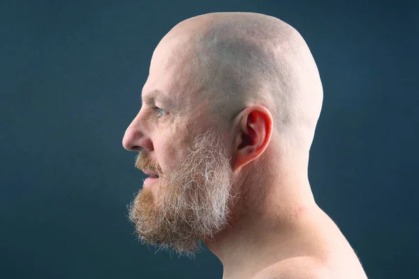 Retrato de um homem barbudo e careca no perfil — Fotografia de Stock