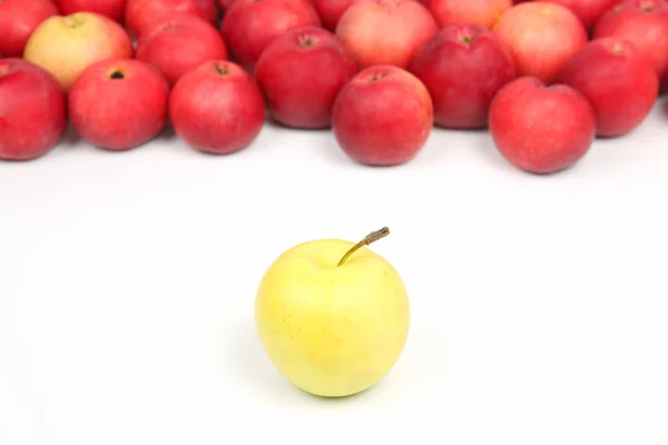 Maçã amarela em um fundo de maçãs vermelhas em fundo branco — Fotografia de Stock