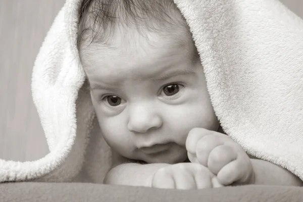 Portrait of a beautiful newborn baby — Stock Photo, Image