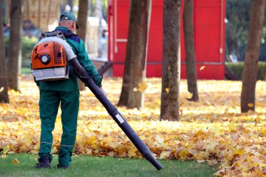 Park'taki işçi, çimleri düşen yapraklardan temizler. 