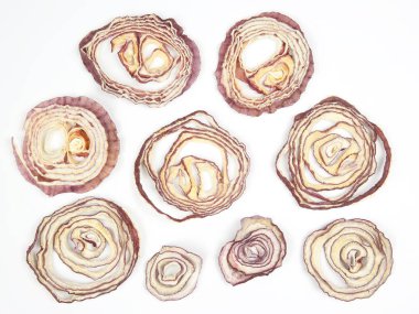 Beyaz arka plan üzerinde kurutulmuş salatası soğan dilimleri