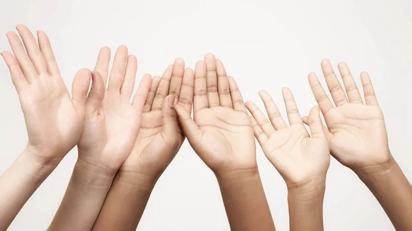 Many raised hands in a row — Stock Photo, Image