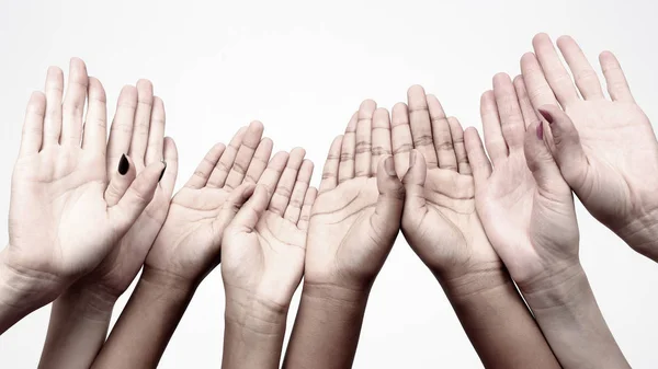 Unity and relations in society. many raised hands in a row — Stock Photo, Image