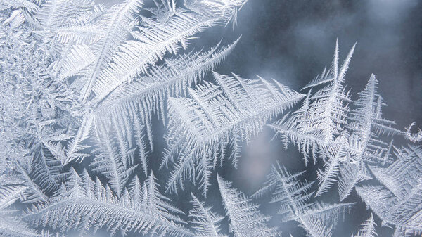 уникальные образцы льда на оконном стекле
