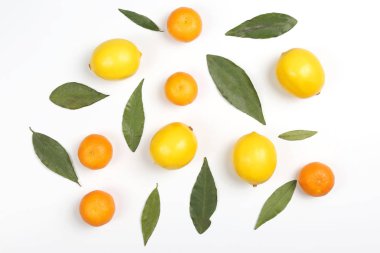 mandalina ve limon ile beyaz bir adam yapraklarda