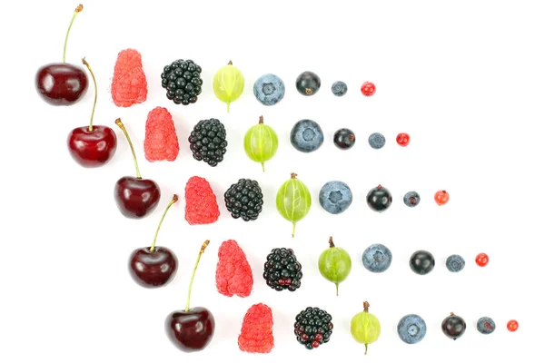Different juicy berries are laid out in rows on a white backgrou — Stock Photo, Image