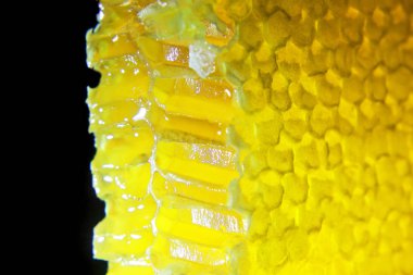 tarak tatlım ışımalar üzerinde siyah bir arka plan kesme