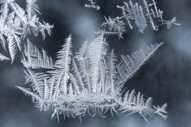 bir kış penceresinde alışılmadık don. kış seaso