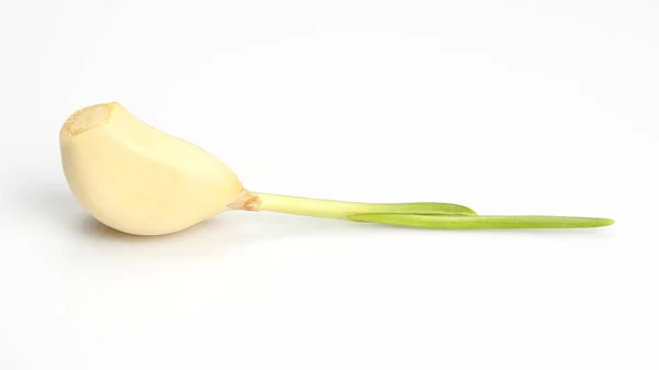 Beyaz backgroun üzerinde sarımsak soğanı — Stok fotoğraf
