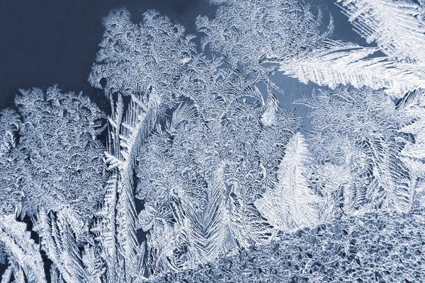 Pencere camı üzerinde benzersiz buz desenleri. Doğanın mevsimleri ve siz Stok Fotoğraf