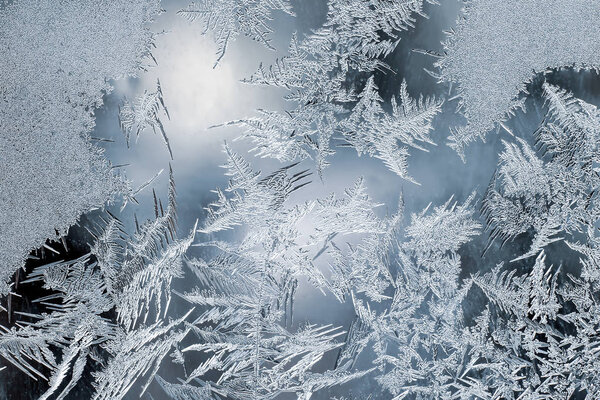 необычная жара на зимнем окне