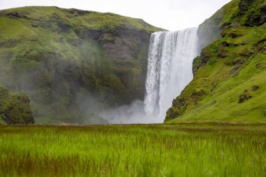 İzlanda'da Bir çim backgroun üzerinde Skogafoss şelale