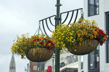 Reykjavik sütunlarına çiçek asmak. İzlanda