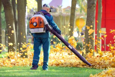 Park'taki işçi, çimleri düşen yapraklardan temizler. 