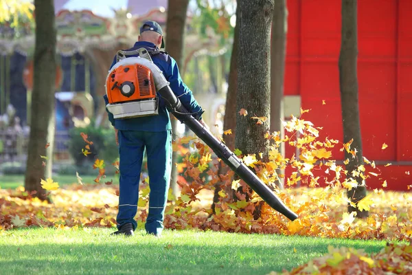 Park'taki işçi, çimleri düşen yapraklardan temizler. 