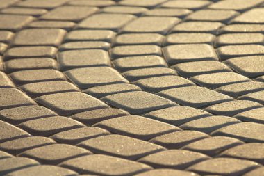 kaldırıma yakın çekim güneş ışığında