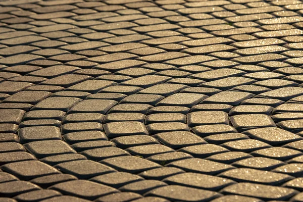 Тротуарная плитка закрывается в солнечном свете — стоковое фото