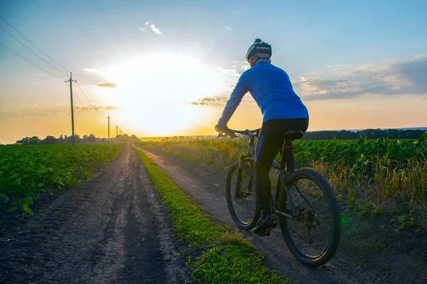 Radler Auf Radtouren Entlang Der Weizenfelder Sonnenlicht Sport Und Hobbys — Stockfoto