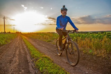 Bisikletçi gün ışığında buğday tarlaları boyunca bisiklet sürüyor. Spor ve hobiler. açık hava etkinliği