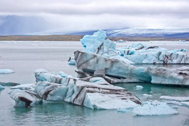 İzlanda 'daki buz gölünün kıyısında mavi buz.