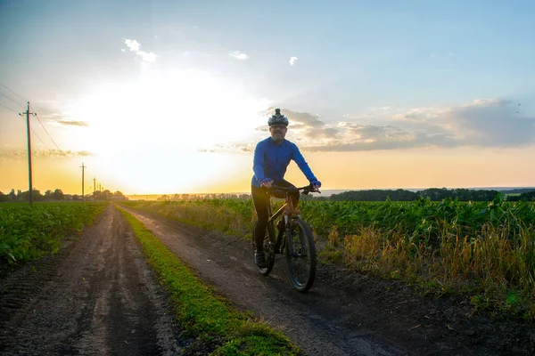 Radler Auf Radtouren Entlang Der Weizenfelder Sonnenlicht Sport Und Hobbys — Stockfoto