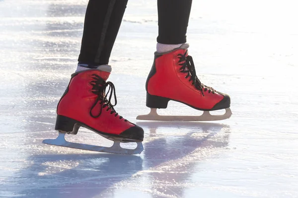 feet in red skates on an ice rink. hobbies and leisure. winter sports