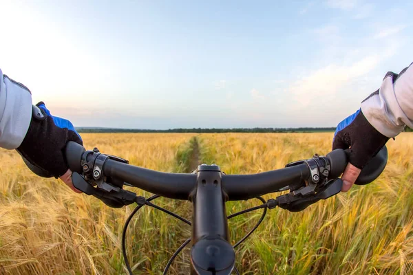 Der Radfahrer Hält Den Lenker Eines Fahrrads Mit Den Händen — Stockfoto