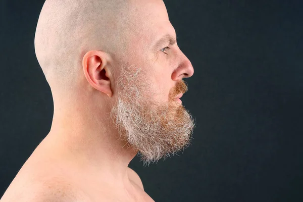 Портрет Бородатого Лысого Человека Профиль — стоковое фото