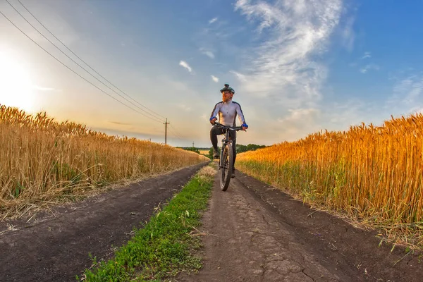 Radfahrer Fährt Einem Sonnigen Tag Auf Einem Feld Sport Und — Stockfoto
