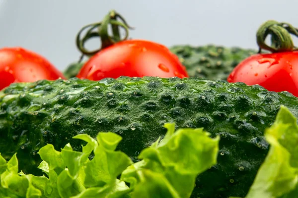 Frische Gurken Tomaten Und Salat Vitamine Und Leichtes Frühstück — Stockfoto