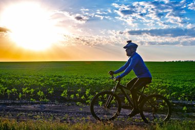 Bisikletçi gün ışığında buğday tarlaları boyunca bisiklet sürüyor. Spor ve hobiler. açık hava aktiviteleri