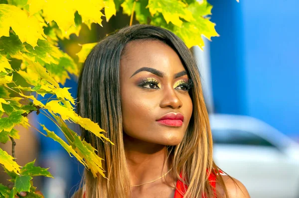 Porträt Der Schönen Jungen Afrikanischen Mädchen Auf Herbstblättern Hintergrund — Stockfoto