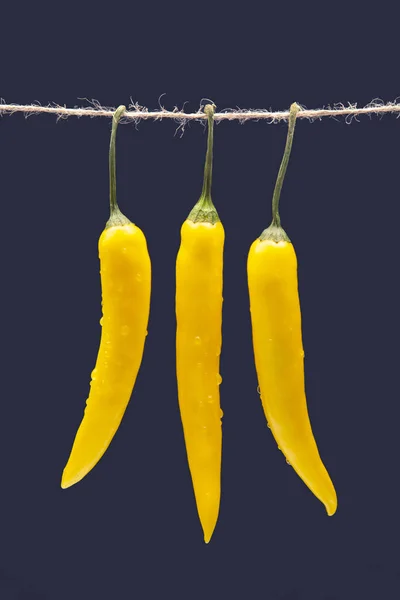 Peperoncino Caldo Giallo Fondo Blu Scuro Pepe Alimenti Base Vitamine — Foto Stock