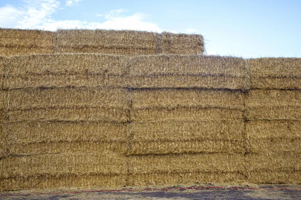 Pared Paja Prensada Contra Cielo — Foto de Stock