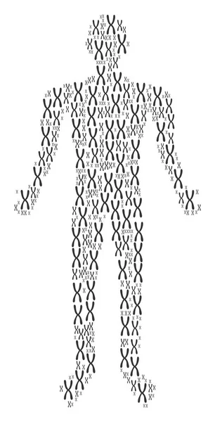 Chromosome Person Figure — Stock Vector