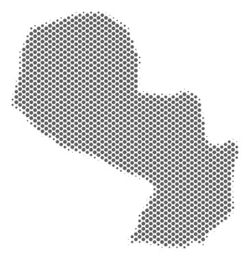 Yarı ton gri Paraguay Haritası