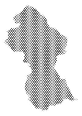 Yarı ton gri Guyana Haritası