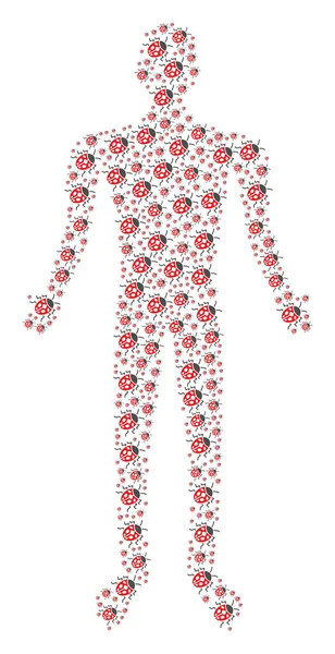 Coccinella insetto figura umana — Vettoriale Stock