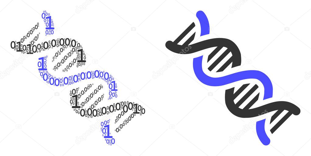 DNA Spiral Composition of Binary Digits