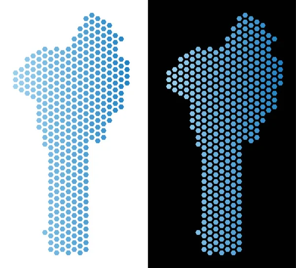 Benin harita petek şeması
