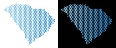 Güney Carolina eyalet harita altıgen şeması