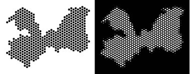 Leningrad Oblast Harita altıgen şeması